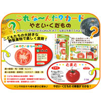 これな んだ カード やさい くだもの 野菜 果物 食育 ことば カード遊び カード ゲーム クイズ 学習 勉強 知育玩具 3歳 4歳 5歳 カードゲーム 小学生 ルーペスタジオ