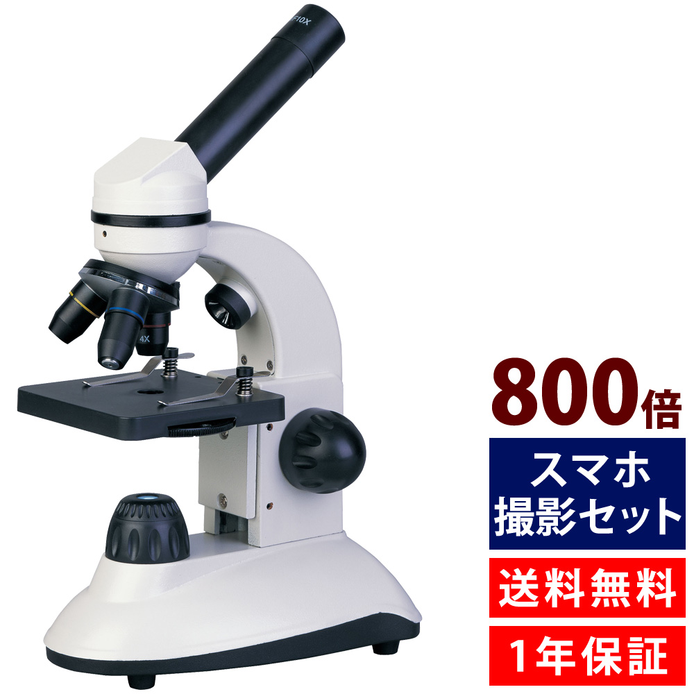 顕微鏡 双眼 40~1000倍 宝石 生物学教育 生物標本 初心者 学校 夏休み
