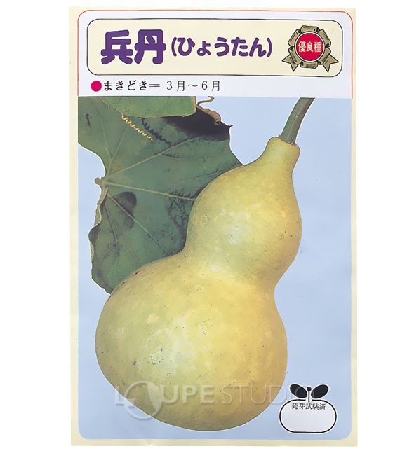 野菜の種 ヒョウタン 種 たね 瓢箪 野菜 ひょうたんのたね ガーデニング 菜園 栽培 学習教材 理科 自由研究 小学校 子供 ルーペスタジオ