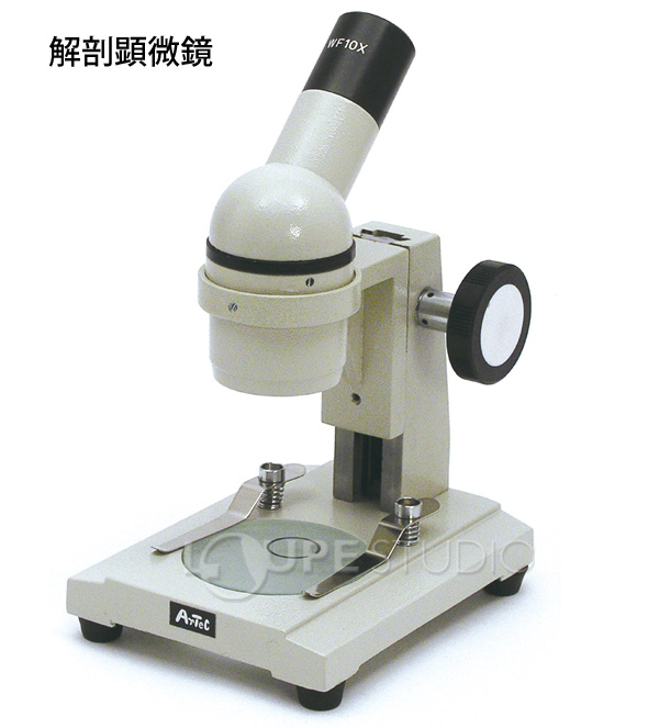 解剖顕微鏡 顕微鏡 拡大 観察 理科 学校教材 知育玩具 自由研究 ルーペスタジオ