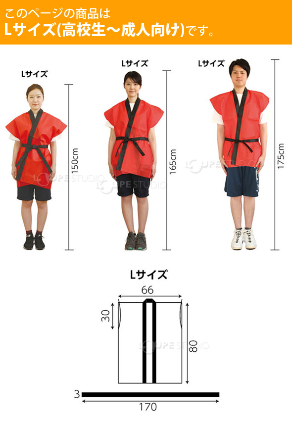 法被 大人 不織布 ハッピ 袖なし (帯付) Lサイズ 高校生〜成人向け はっぴ お祭り 運動会 応援グッズ 体育祭 発表会 青 緑 白 紫 学芸会  お遊戯会 衣装 エイサー よさこい ソーラン節 :ルーペスタジオ