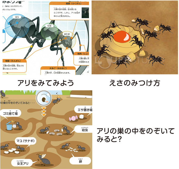 アリさんまるごと観察セット アーテック 観察 あり アリの巣 蟻 理科 小学生 夏休み 宿題 自由研究 ルーペスタジオ