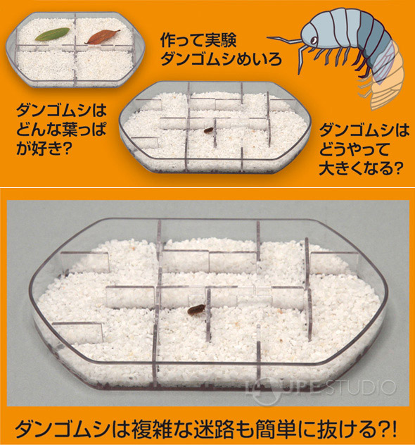 ダンゴムシのヒミツ観察キット アーテック 理科 科学 観察 小学生 学習 夏休み 宿題 自由研究 ルーペスタジオ