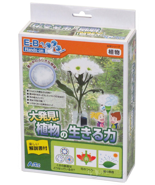 植物の生きる力解明セット アーテック 植物 観察 理科 科学 小学生 学習 夏休み 宿題 自由研究 ルーペスタジオ