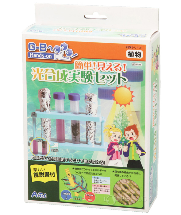 簡単 見える 光合成実験セット アーテック 光合成 観察 実験 理科 科学 小学生 学習 夏休み 宿題 自由研究 ルーペスタジオ