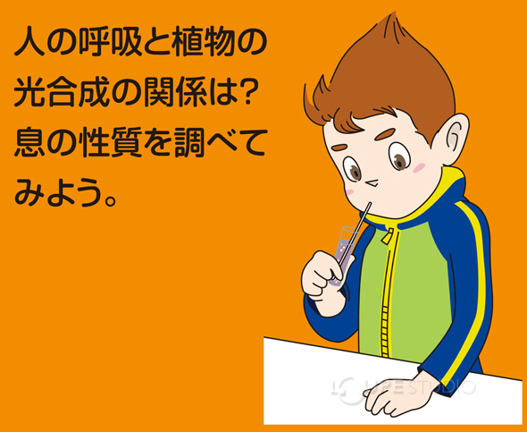 簡単 見える 光合成実験セット アーテック 光合成 観察 実験 理科 科学 小学生 学習 夏休み 宿題 自由研究 ルーペスタジオ