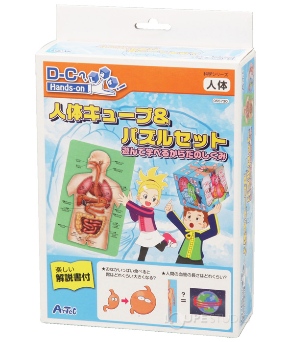 人体キューブ パズルセット アーテック 人体 模型 観察 体の仕組み 理科 科学 小学生 学習 夏休み 宿題 自由研究 ルーペスタジオ