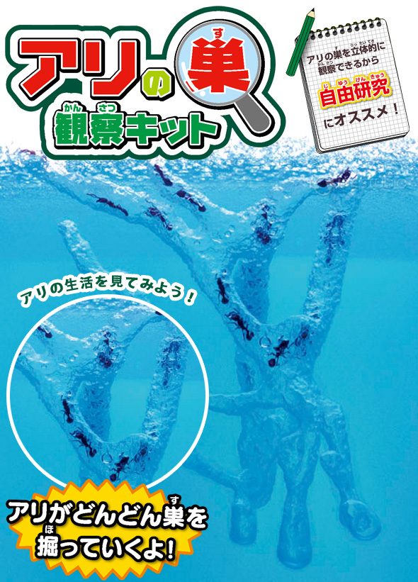 アリの巣観察キット 夏休み 自由研究 小学生 キット あり 蟻 飼育セット 実験セット 観察 工作 ルーペスタジオ