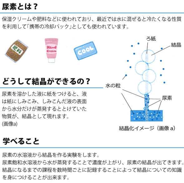 結晶実験キット 結晶作り 夏休み 自由研究 実験セット 子供用 小学生 おもしろ実験 簡単 科学 化学 理科 ルーペスタジオ