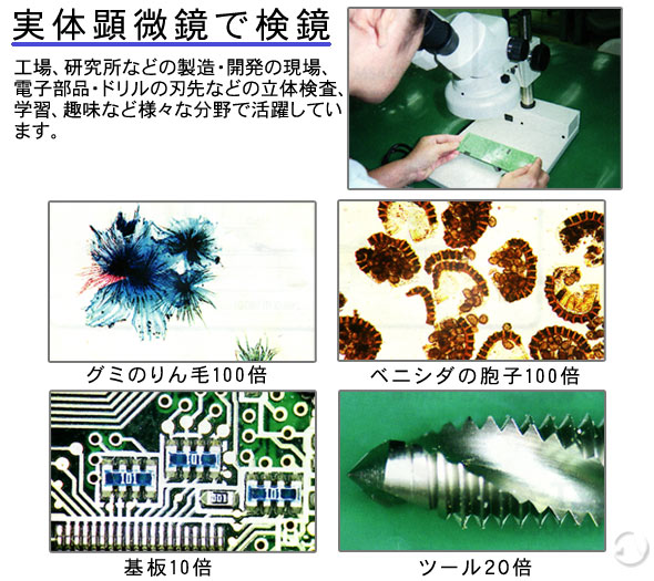 喜ばれる誕生日プレゼント 固定倍率実体顕微鏡 NSW-2P 20倍 カートン