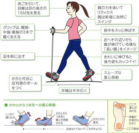 REVITA レビータ トゥインクル ウォーキングポール 2本1組 長さ調整式