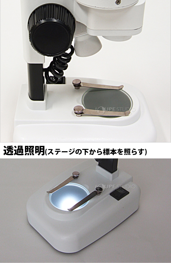 新日本通商 学習用 顕微鏡 セット 900倍 プロジェクター機能付き