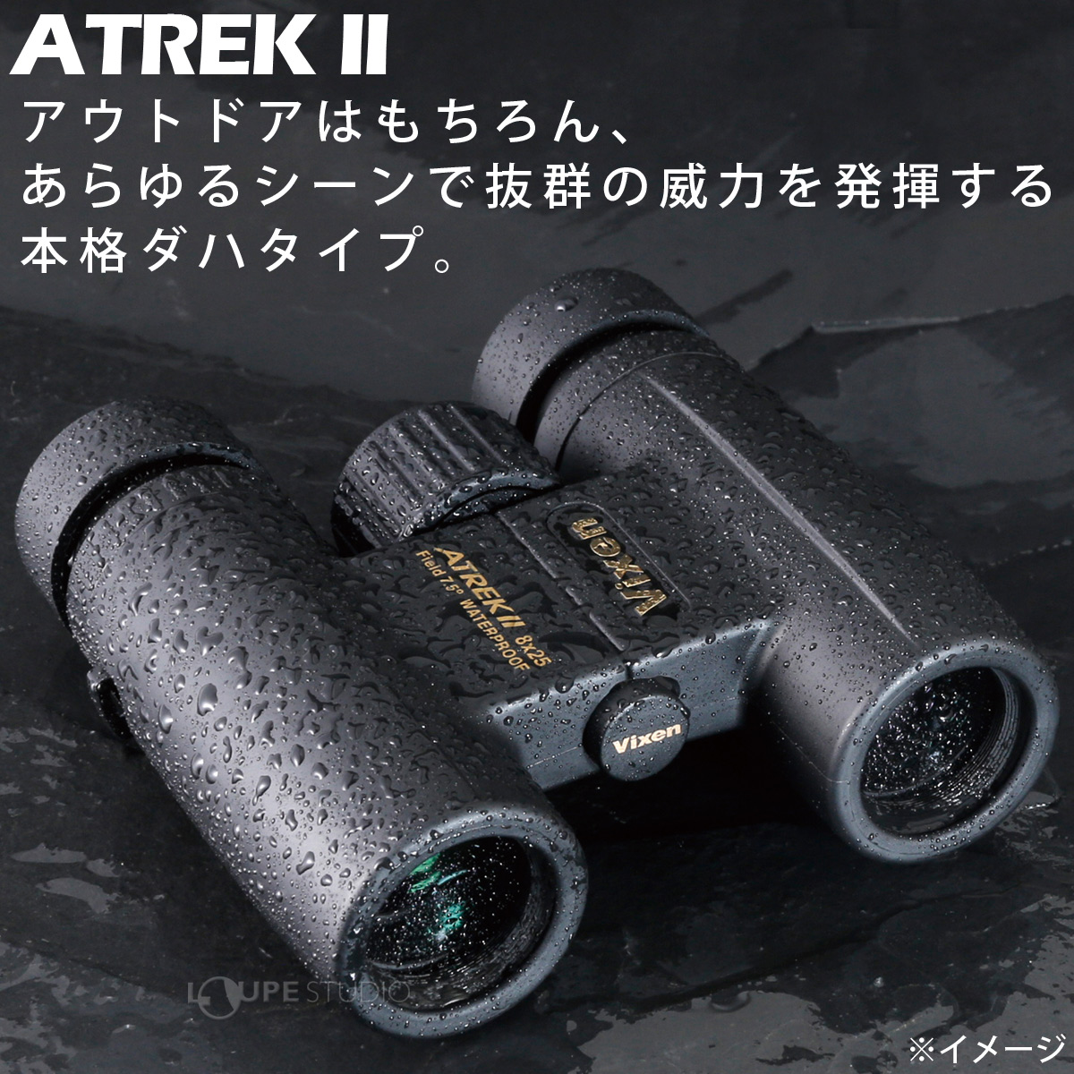 2極タイプ vixen ATREKⅡ 10×42 | www.birbapet.it